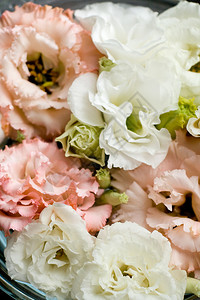 婚礼卡片的美丽的花背景图片