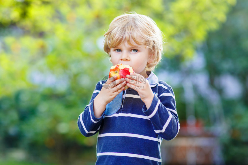 漂亮的小男孩在上小学或托儿所的第一天带着苹果户外回到学校图片