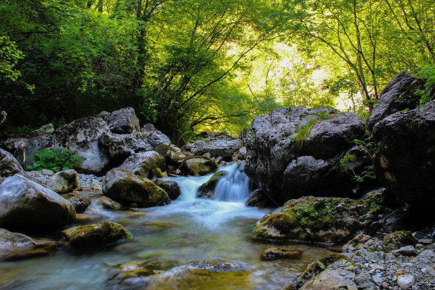 在岩石和树木之间流动的纯净水流图片