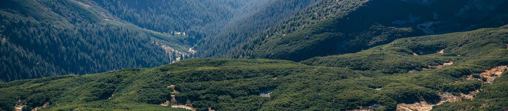 美丽的绿色山地景观的全景喀尔巴阡图片