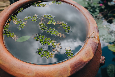 越南休埃水池塘和饮用水中绿图片