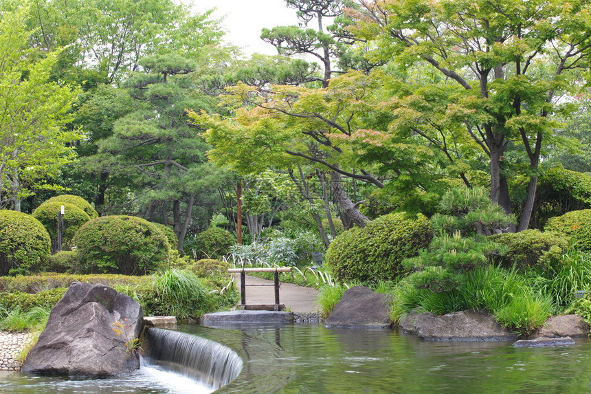 绿色日本花园和池塘图片