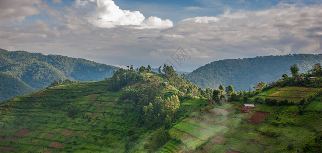 乌干达西南部的风景图片