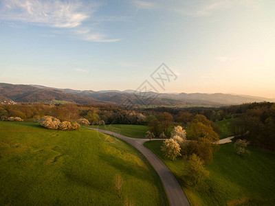 德国绿色山丘道路和树木的空中图片
