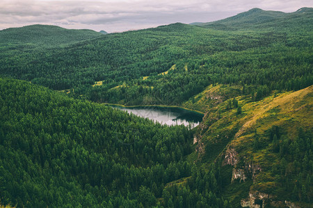 俄罗斯阿尔泰雄伟的山脉树木覆盖图片