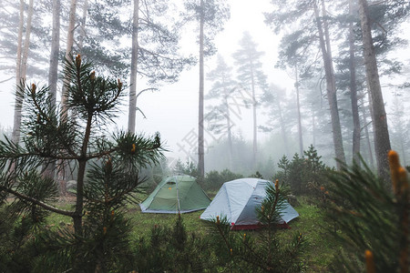 在雾林中有两个帐篷寒冷和潮湿的恶劣天气在山上漫图片