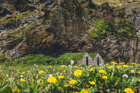 冰岛山下有草屋顶的居住房屋附近有花棚和土豆背景图片