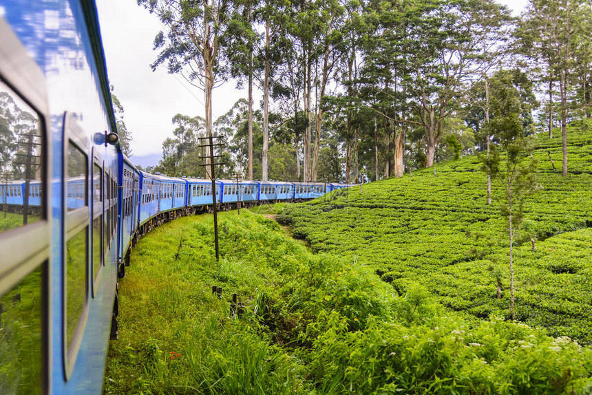 茶叶生产是斯里兰卡原名锡兰的主要图片