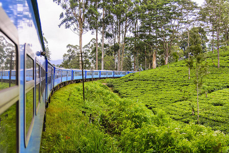 茶叶生产是斯里兰卡原名锡兰的主要图片