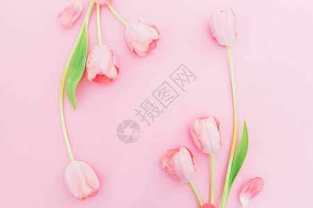 粉红色背景上花朵的花原边框图片