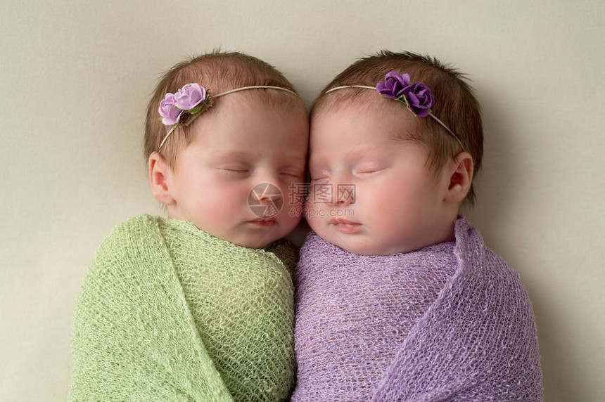 双胞胎新生女婴在浅绿色和熏衣草包扎材图片