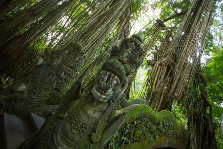 印度尼西亚巴厘乌布德猴林保护区龙图片