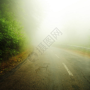 迷雾之路图片
