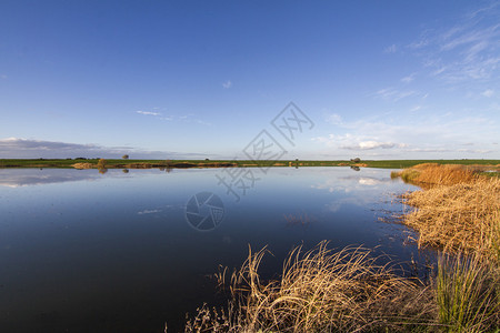 葡萄牙Alentejo地区春季乡村湖景色的美丽景象图片