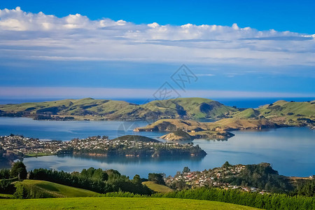 Dunedin镇和海湾见于新西图片
