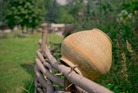 老陶罐和绿色乡村花园图片