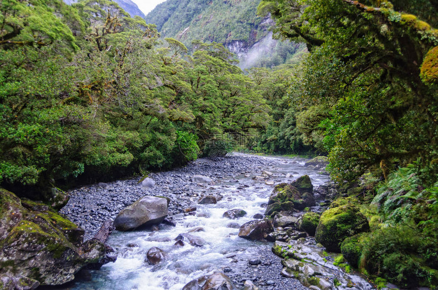 沿着峡谷步道的克莱道河图片