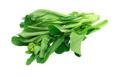 白色的新鲜绿色芥子酱BrassicaJ高清图片
