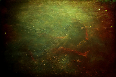 在阿拉斯加河中捕捉袜子鲑鱼配有用于艺图片