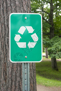 树上的绿色回收标志图片