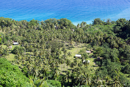 瓦努阿图BungleBu图片
