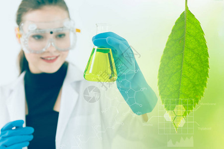 实验室从科学家那里提取绿色自然的科学和生物技术草药图片