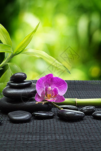 紫兰花配黑色塔石竹子垫黑色图片