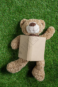 Teddy熊玩具和绿草书教育儿童概图片