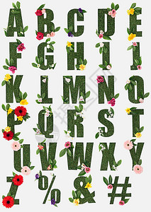 英文字母的字母由绿色草叶新鲜叶子和花朵组成图片