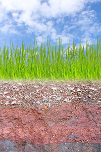 绿草与地下土层剖面图图片