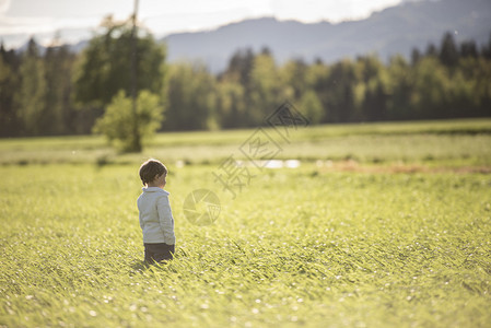 年幼的小孩站在田野里山上和树上背景图片