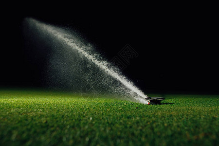 夜间自动草坪洒水器在高尔夫球场绿草上喷水图片
