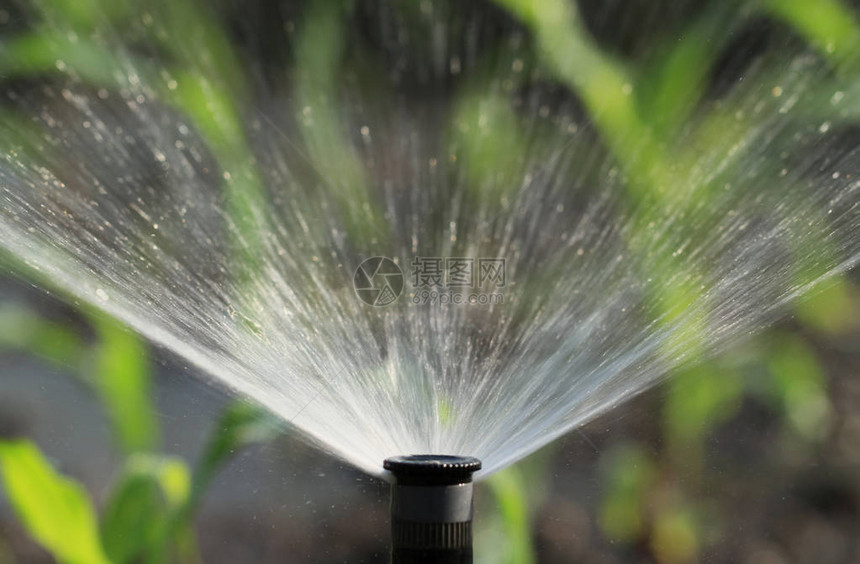 灌溉系统为绿色植物图片
