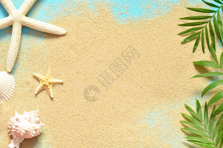 夏天海滩海星和海贝在沙滩图片