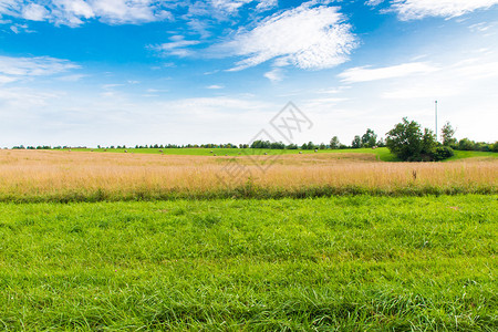 乡村夏日风景绿色的田野和蓝天图片
