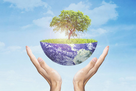 拯救地球的概念人的手拿着地球和一棵树图片