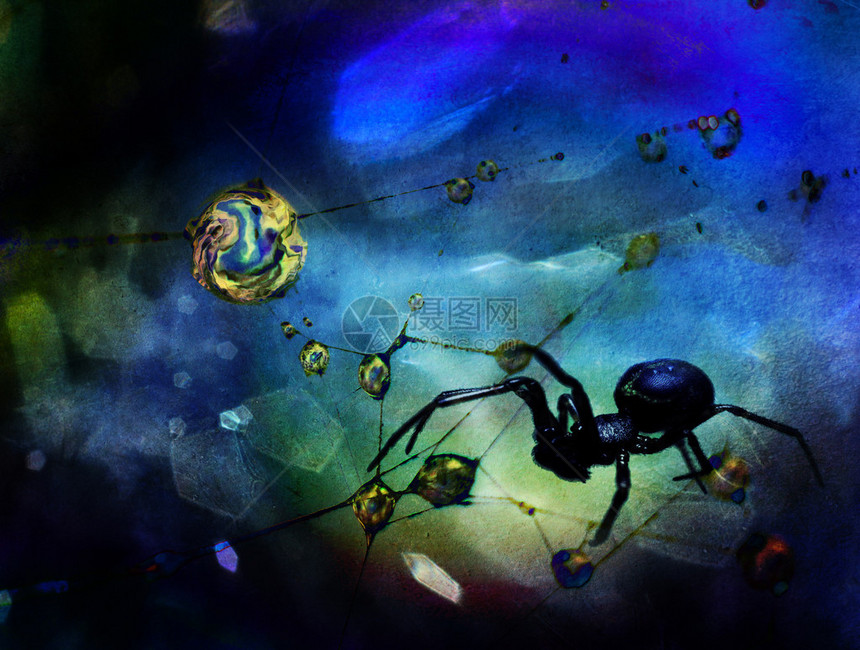 超真实的科幻小说场景一个巨大的蜘蛛在网络上有丰图片