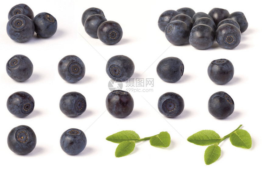 各种野生蓝莓越橘和白色上的绿叶图片