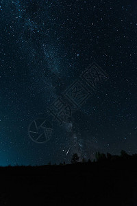 夜晚黑暗森林天空中的银河图片