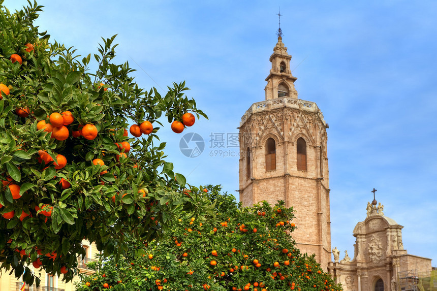 西班牙巴伦西亚蓝天下背景的圣玛利亚大教堂钟楼图片