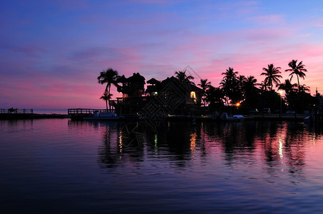佛罗里达州伊斯拉莫达佛罗里达群岛日落与海滨和棕榈树美国图片