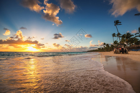 棕榈树沙滩和日出图片