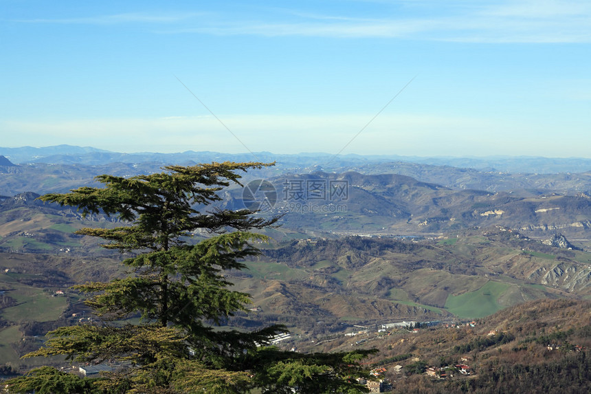 夏日风景青松背景蓝天和山脉图片