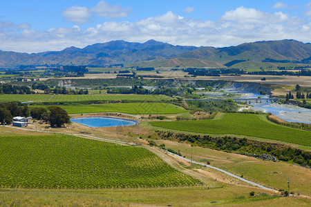 新西兰南部岛屿Marlborough葡萄酒区图片