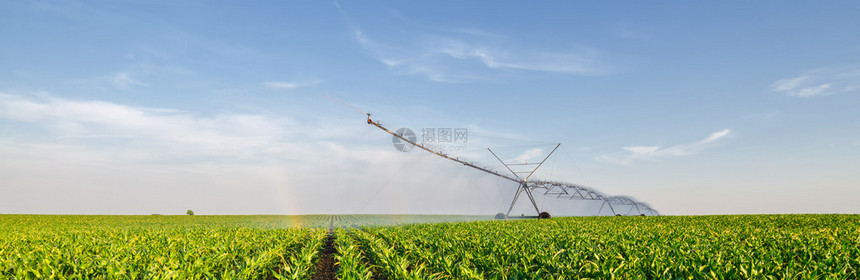 农业灌溉系统在阳光明媚的夏日图片