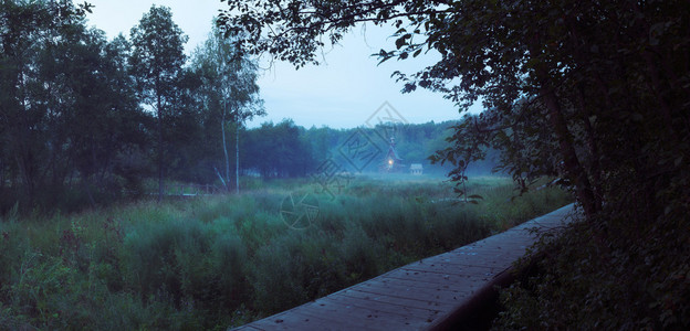 在沼泽上雾着小木的俄罗斯图片