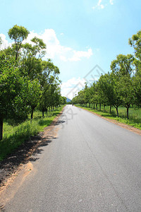 夏季农村柏油路图片