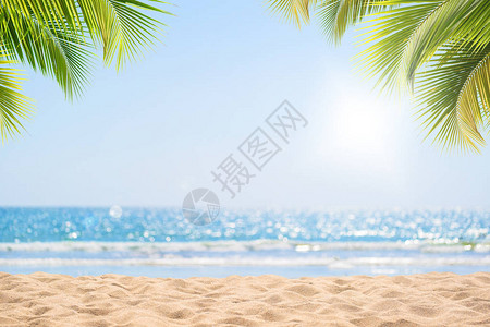 棕榈树热带海滩背景平静海和天空模糊bokeh光线暑假背景概念的图片