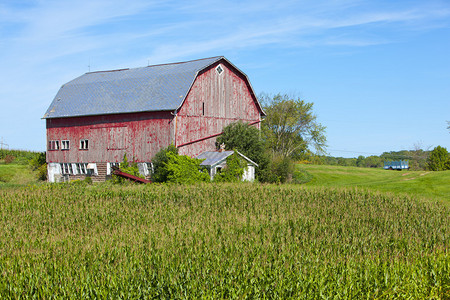 蓝天的美国乡村农场图片