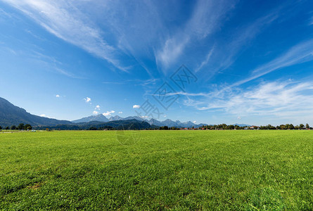 德国巴伐利亚富森施万高附近绿草地和阿尔卑斯图片